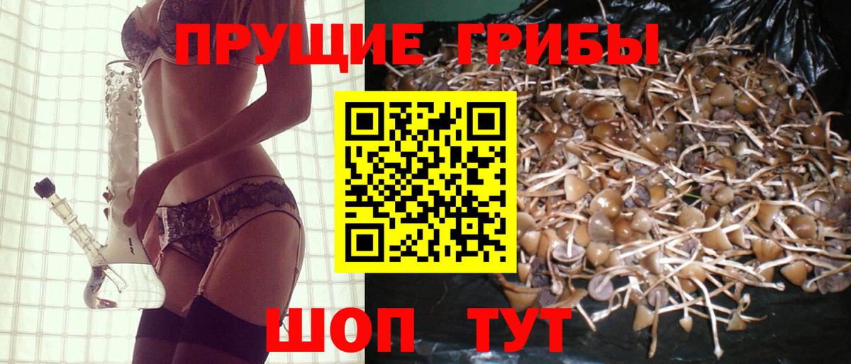 Псилоцибиновые грибы прущие грибы  Вход с VPN  Кызыл 